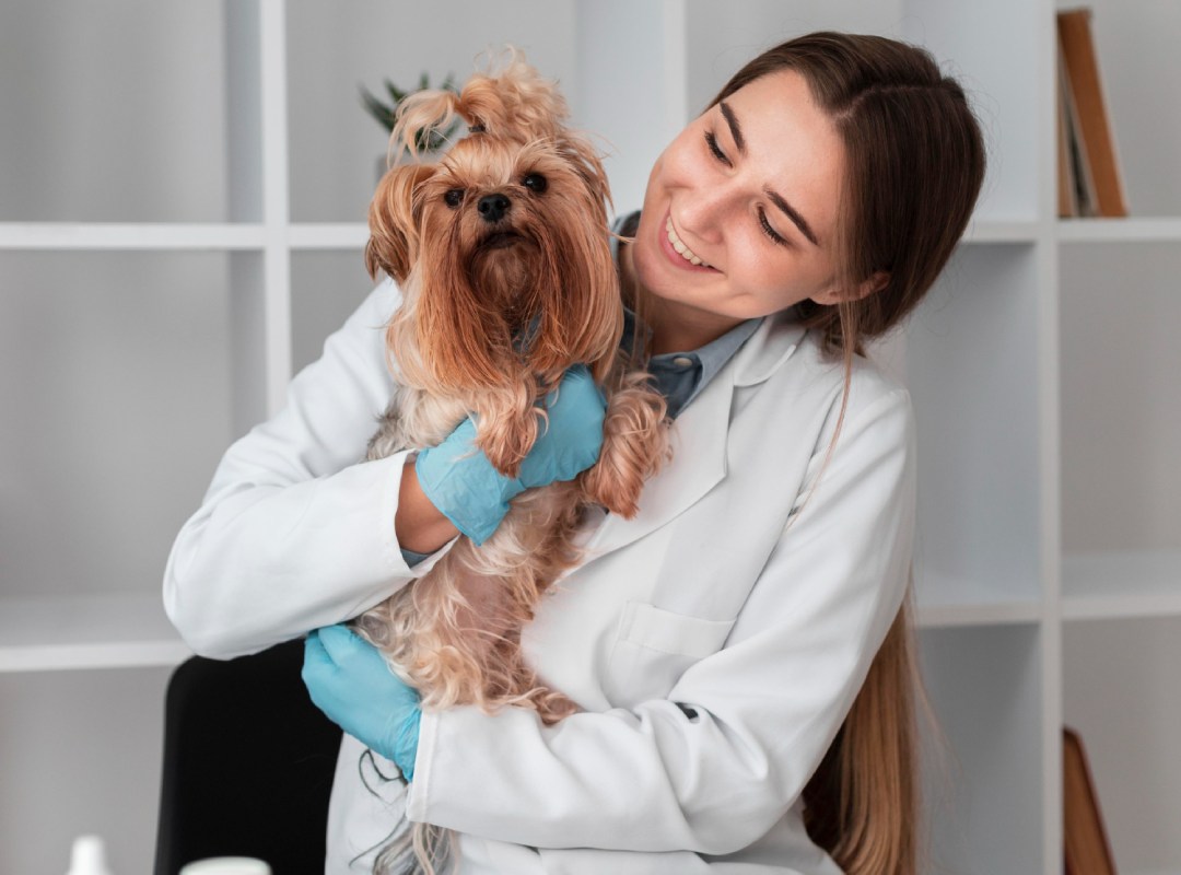veterinarian with puppy